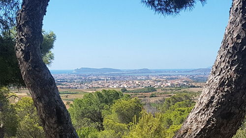 Scenic view of landscape against clear sky