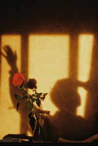 Close-up of flowers in vase