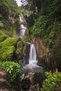 Scenic view of waterfall in forest