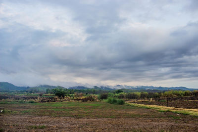 Scenic view of field against sky