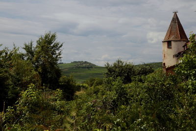 Plants and trees by building against sky