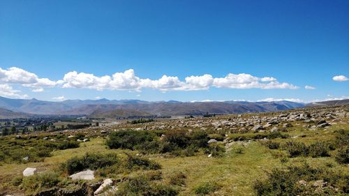 Scenic view of landscape against blue sky