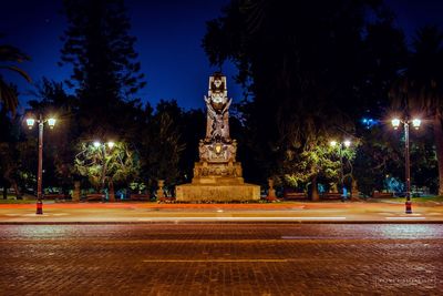 Statue of trees at night