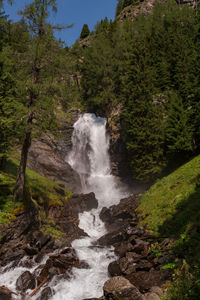 Scenic view of waterfall in forest