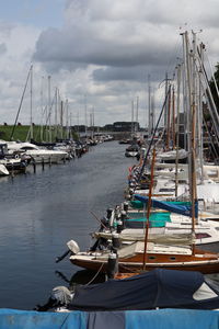 Sailboats moored in harbor