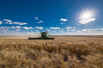 Scenic view of agricultural field against sky