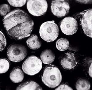 large group of objects