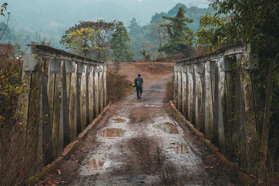 Rear view of man walking on bridge