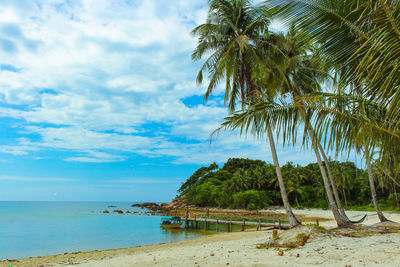 Palm trees on beach