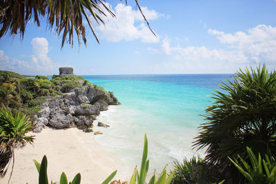 View of empty beach in tulum against blue sky