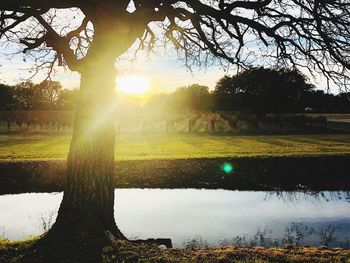 Scenic view of field against sky during sunset