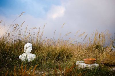 Bust on field against sky