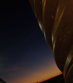 Close-up of plant against sky at night