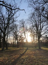 Bare trees on field against sky