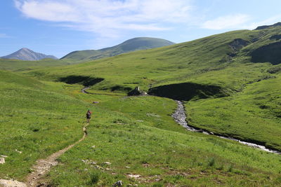 landscape
