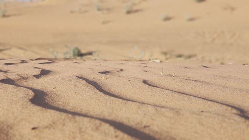 Close-up of sand on beach