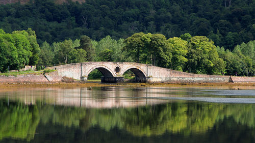 Arch bridge over river in forest