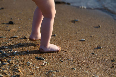 Low section of child standing on beach