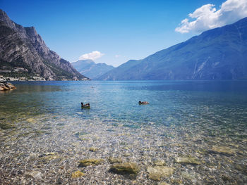 Scenic view of lake against blue sky