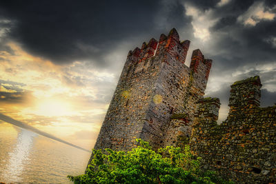 Low angle view of plants against sky during sunset