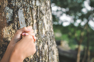 Cropped hands holding knife by tree trunk