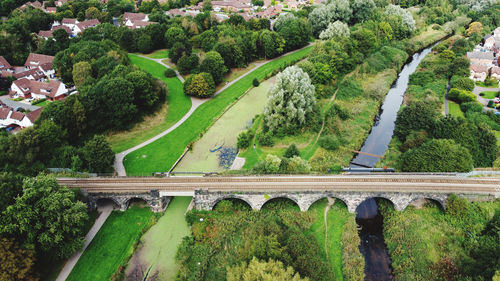 High angle view of plants and trees in park