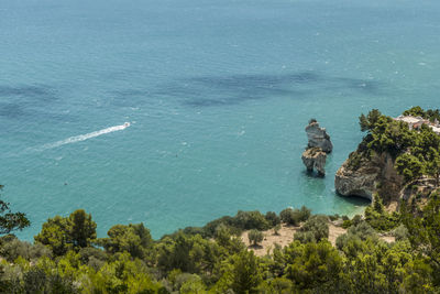 Baia delle zagare in mattinata