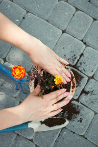 High angle view of hand holding orange flower on footpath