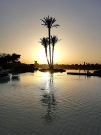 Silhouette of palm trees at sunset