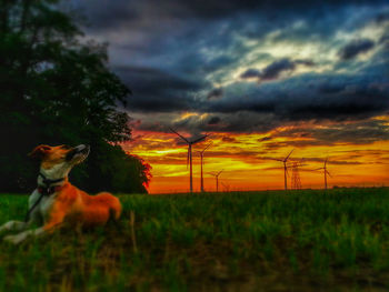 Scenic view of grassy field against cloudy sky