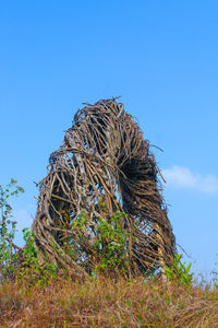 Low angle view of bird nest against clear blue sky