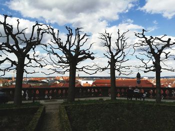 Bare trees in park against sky