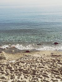 Scenic view of beach