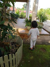 Rear view of woman standing by plants