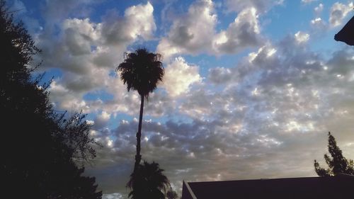 Low angle view of silhouette trees against cloudy sky