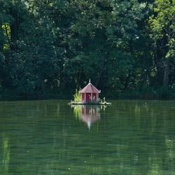 House on lake by trees