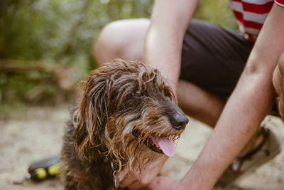 Midsection of woman with dog