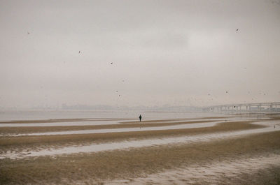 Scenic view of beach against sky