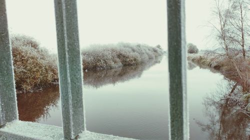 Trees by lake during winter