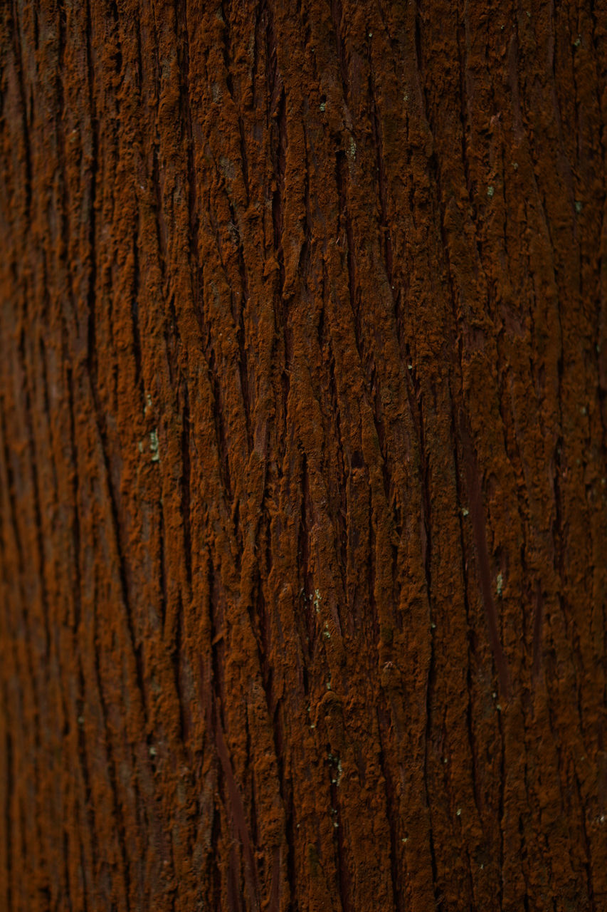 brown, backgrounds, textured, full frame, wood, soil, pattern, no people, close-up, hardwood, floor, rough, wood grain, wood flooring, dark, laminate flooring, wood stain, nature, flooring