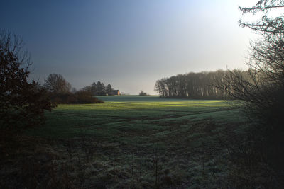 Scenic view of field against clear sky