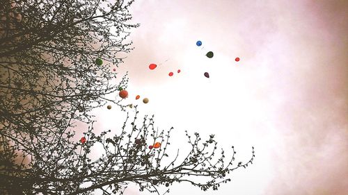 Low angle view of tree against sky