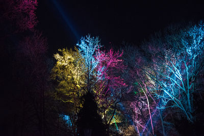 Low angle view of illuminated trees against sky at night