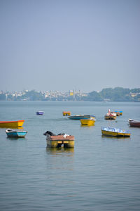 Sailboats moored on sea against clear sky