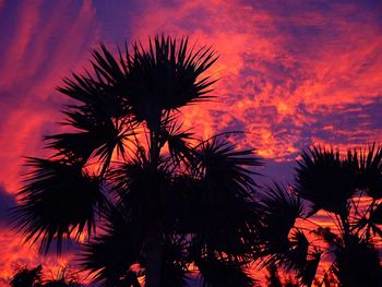 Low angle view of silhouette palm trees against sky at sunset
