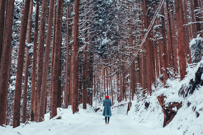 Rear view of woman walking on snow covered field in forest