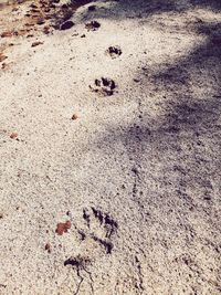 High angle view of footprints on sand