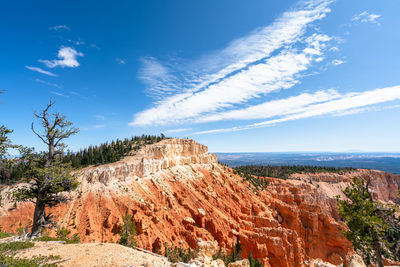 Wide angle view of bryce canyon national park, utah, usa