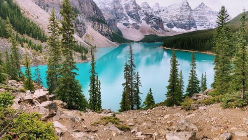 Scenic view of lake by mountains