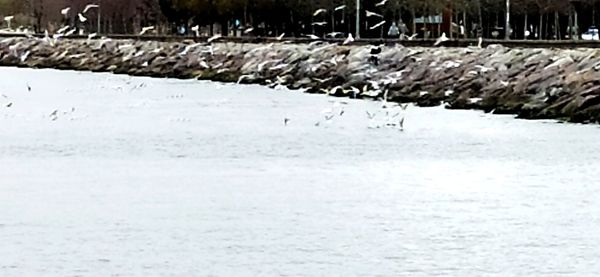 Close-up of wet sand during winter